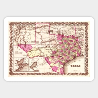 Texas State Sticker